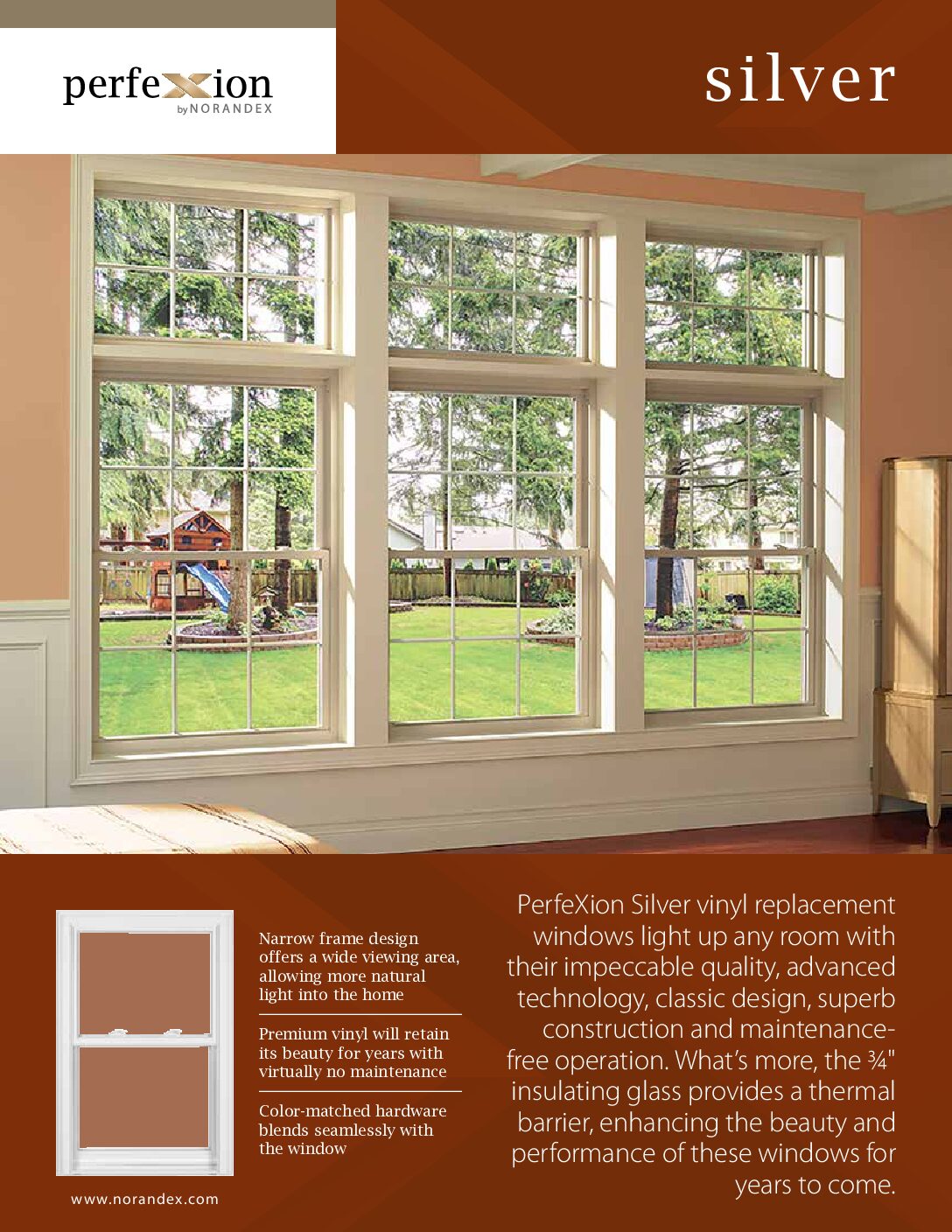 PerfeXion Silver Brochure